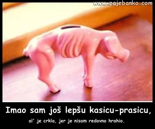 mršava kasica prasica