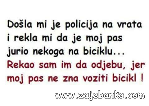 policijska pamet