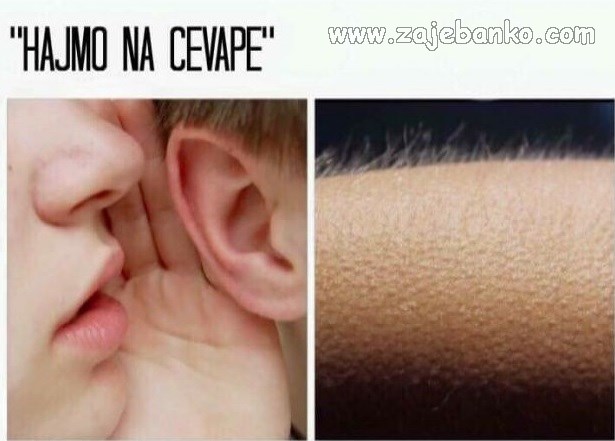 kad se naježiš