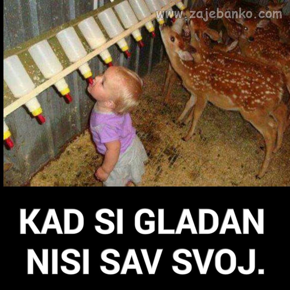 kad si gladan nisi sav svoj