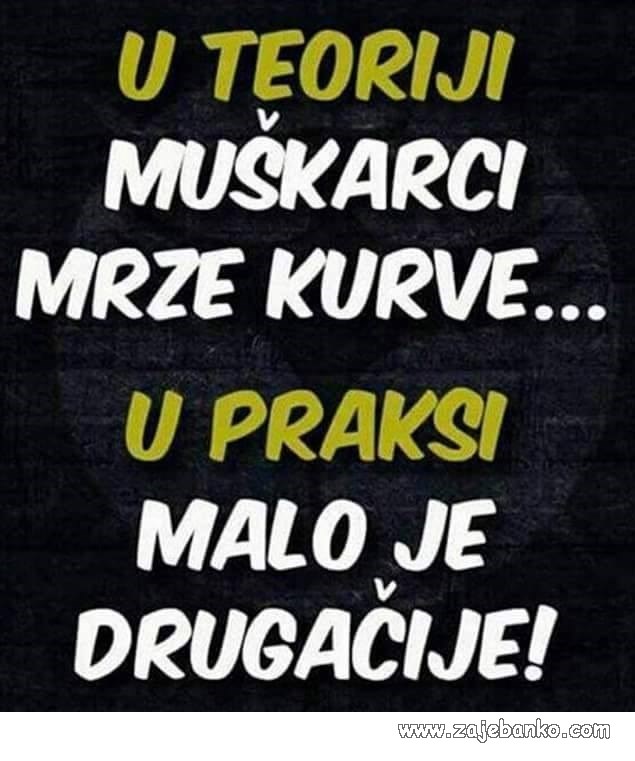 teorija i praksa