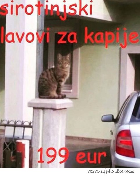sirotinjski lavovi za kapije