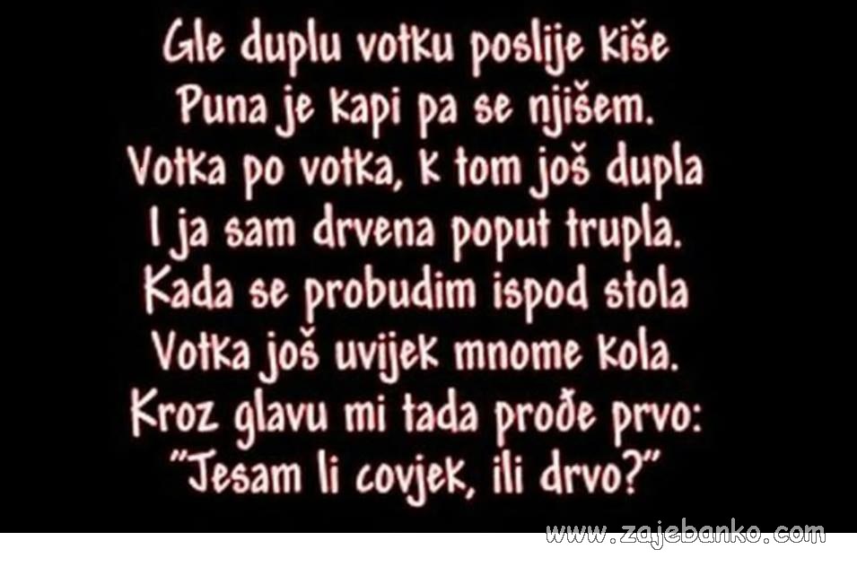 pijana pjesmica - dupla votka