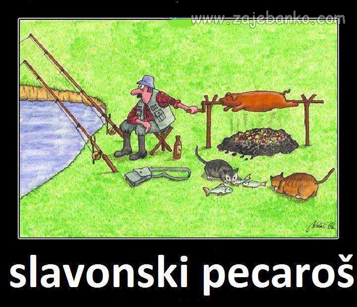 od ribe sam opet gladan