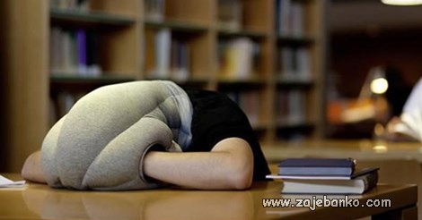 spavanje u čitaonici - obvezna oprema