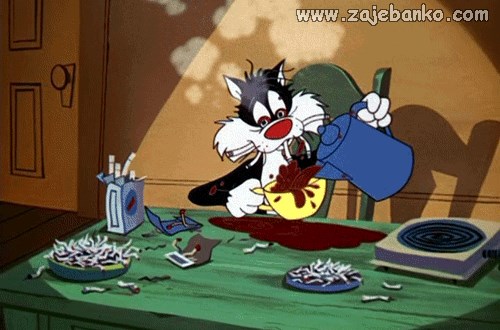 sve se može naučiti za jednu noć - kampanjac