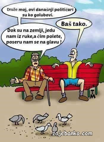 političari su kao golubovi