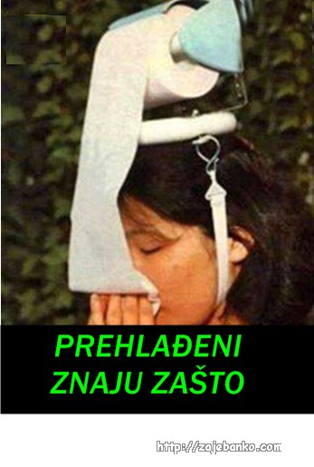 prehlađeni znaju zašto