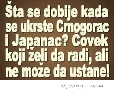 Japanac i Crnogorac