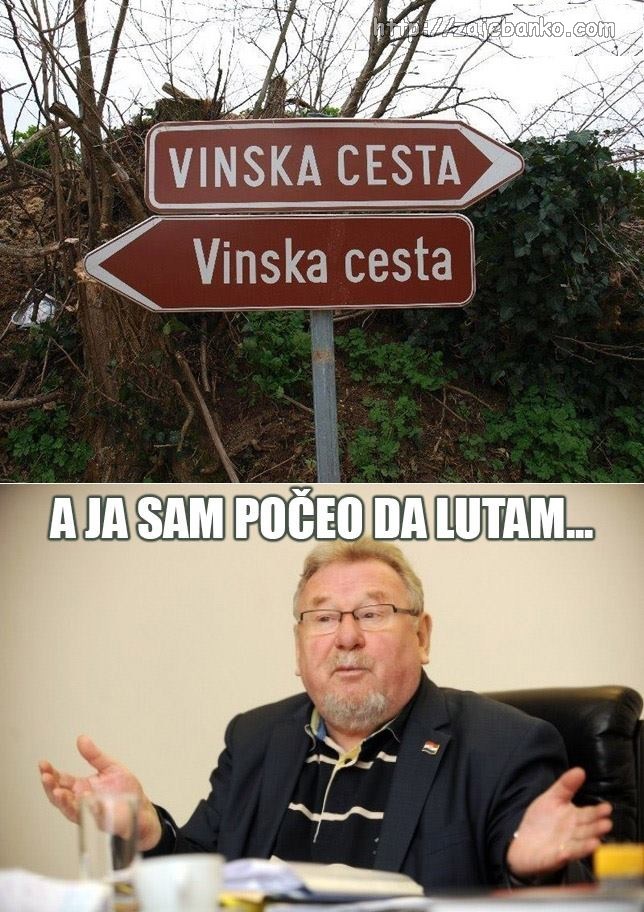 vinska cesta