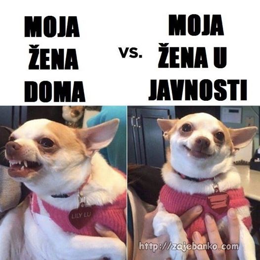 moja žena doma & moja žena u javnosti