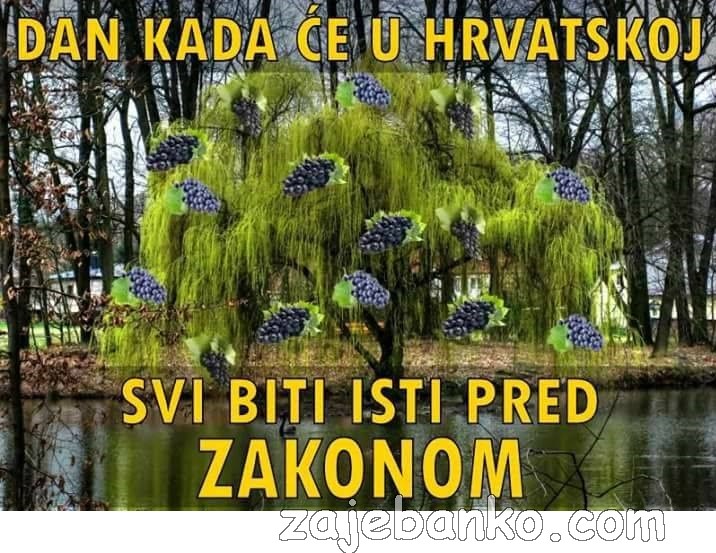 svi su isti pred zakonom