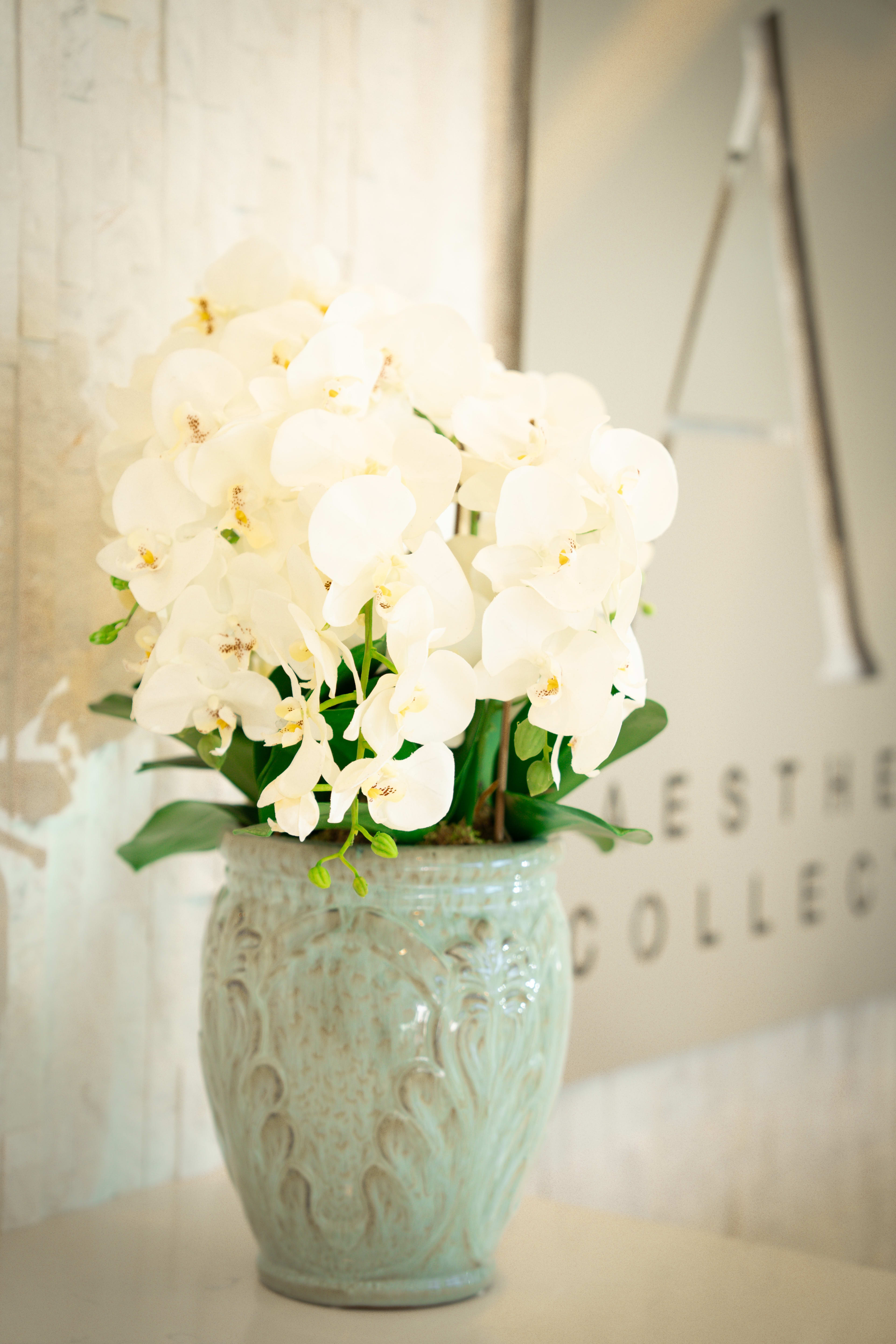 Functional Medicine & Wellness at Aesthetic Collective