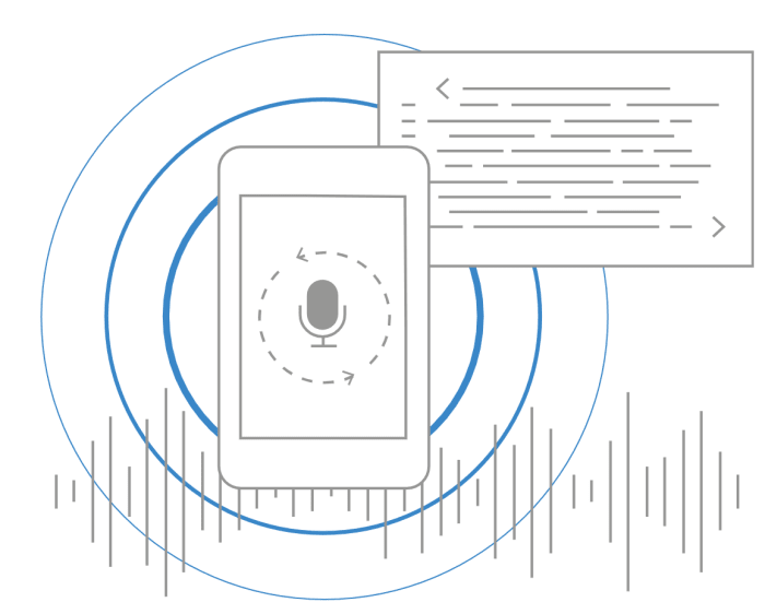 Voice API