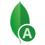 MongoDB Atlas