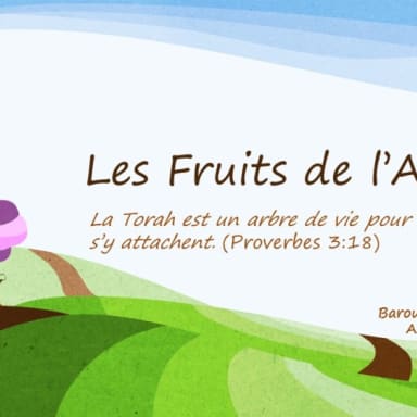 Les Fruits de l'arbre - Sefer Torah- Leilouye Nichmate
