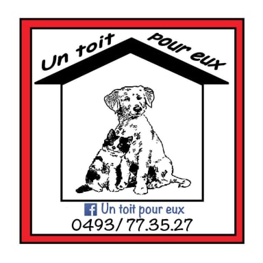 Un toit pour eux