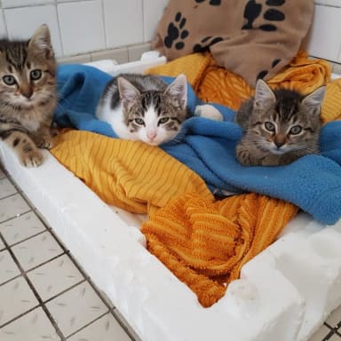 NON A LA FERMETURE DE LA CHATTERIE D'ARGENTAN