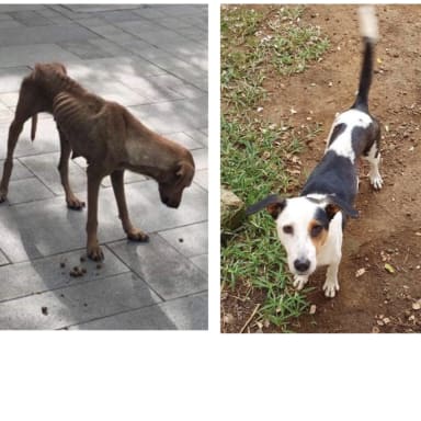 Urgence pour Minna et Elly