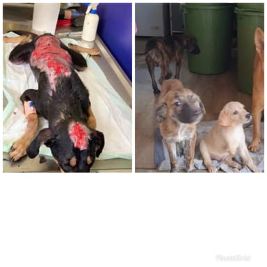 Urgence refuge ALM