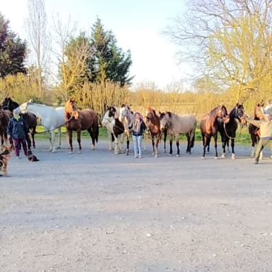 Sauver Les Ecuries Massiot