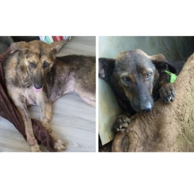 Urgence pour Destiny et Fidjy