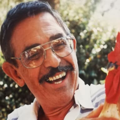 Jojo cappadoro don
