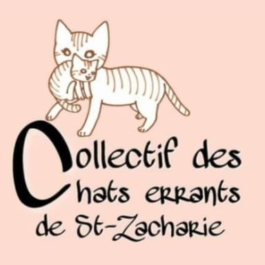 SOS Chat Errants