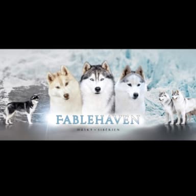 Soutien Husky FABLEHAVEN