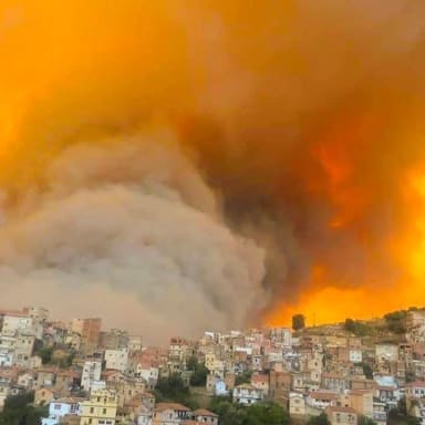 SOLIDARITÉ AUX SINISTRÉS DE LA KABYLIE QUI BRÛLE