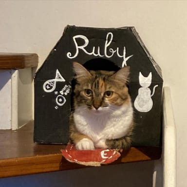 Soins médicaux de Ruby