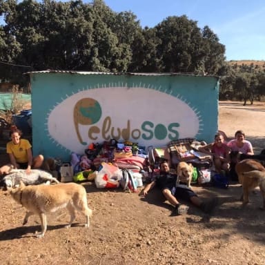 Voyage solidaire Peludosos