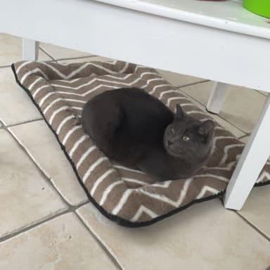 Pour SHADOW