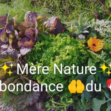 Soutien pour la ferme "Abeilles et Coccinelles"