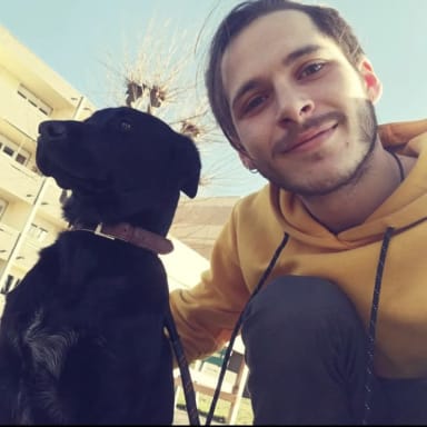 Maxime, une dernière volonté : “Un Chez Soi D’abord”