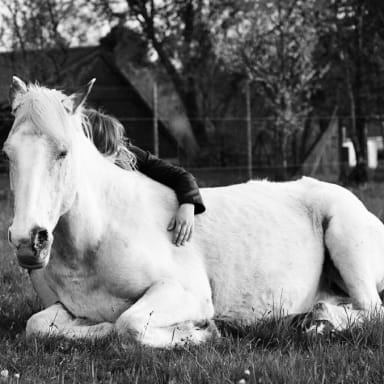 Une chance pour Apache