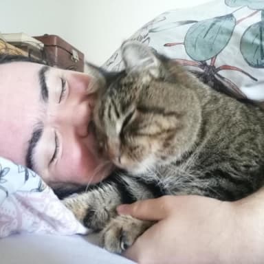 Du blé pour mon minet !