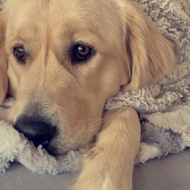 Ensemble pour Owen ♥️🥺🦾