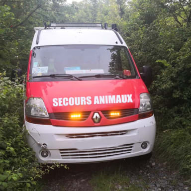 Aide aux frais de réparations du véhicule de secours pour animaux