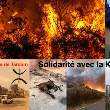 Urgence Incendie en Kabylie : Aidons le village de Tardam