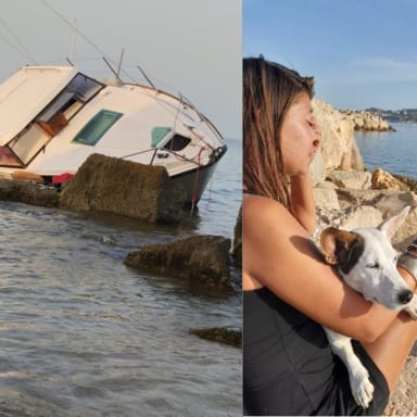Trouver un logement pour lola et son chien