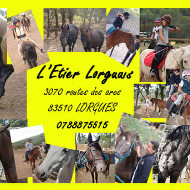 Soutien aux Chevaux à la Retraite - L'Étrier Lorguais
