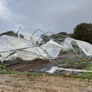 Remplacement d'une serre à la Ferme de Lignol - Tempête Ciaràn