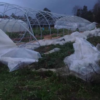 Dons pour perte de serres maraîchères suite tempête Ciaran