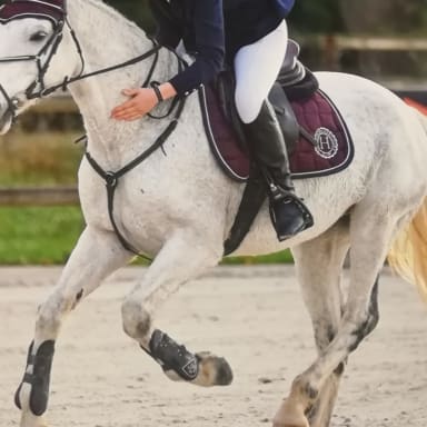 Projet Pro de Gaby et On y va pour les championnats de France!