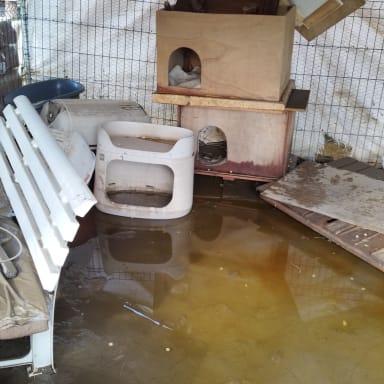 INONDATION ASSOCIATION EN DÉTRESSE