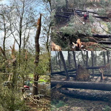 Tempête Ciaran - FunParks Accrobranche de Crozon et Dirinon