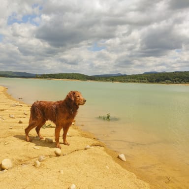 Besoin de soutien pour soigner Totem