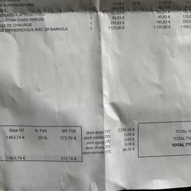 Frais vétérinaires Taïga