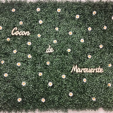 Fermeture de cocon de Marguerite